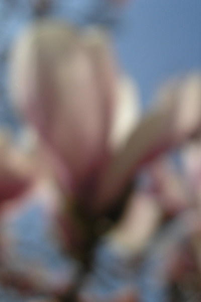 photo 1114 (01 April 2004)