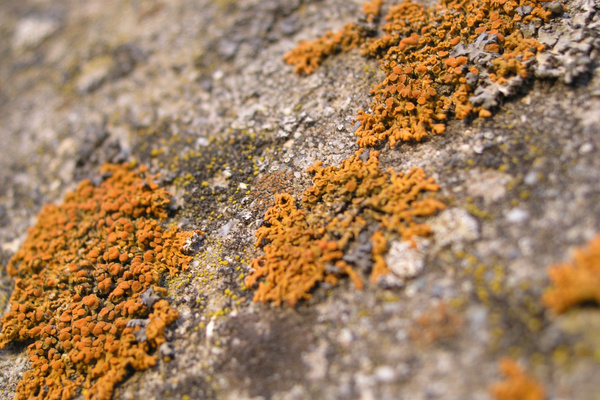 photo 1192 (04 April 2004)