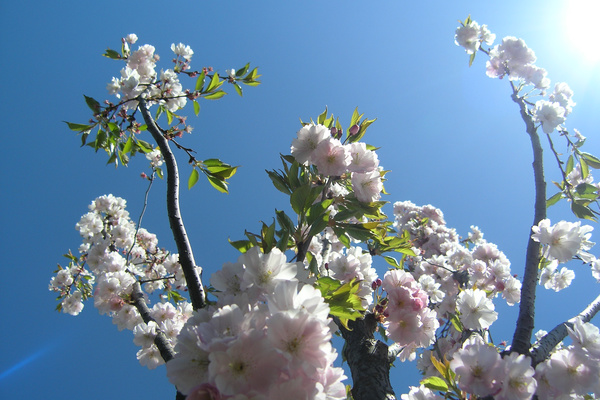 photo 1240 (11 April 2004)