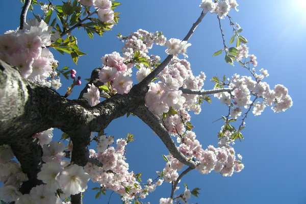 photo 1245 (11 April 2004)