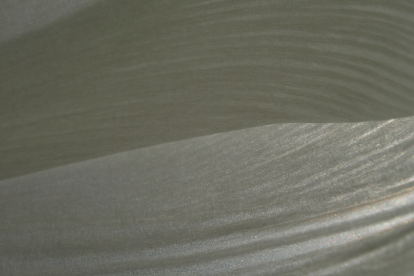 photo 1268 (16 April 2004)