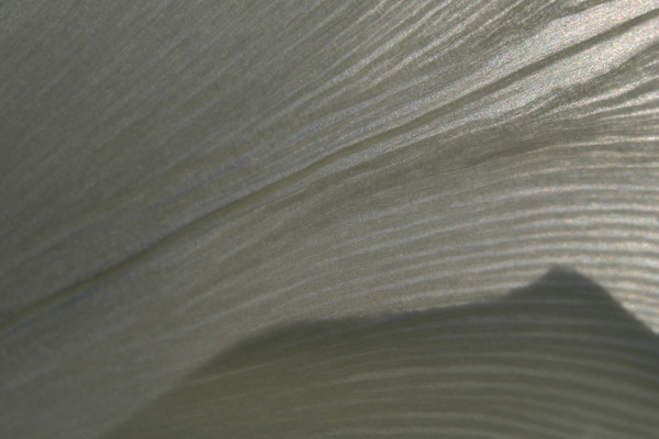 photo 1270 (16 April 2004)