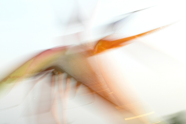 photo 1406 (30 April 2004)