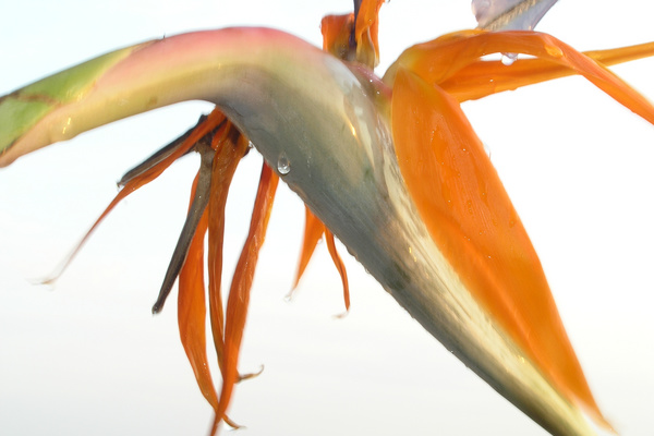 photo 1411 (30 April 2004)