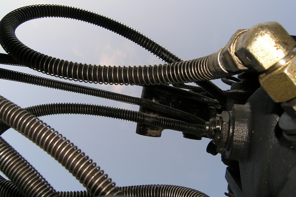 photo 2031 (29 August 2004)