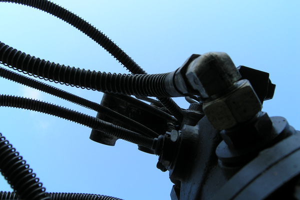 photo 2032 (29 August 2004)