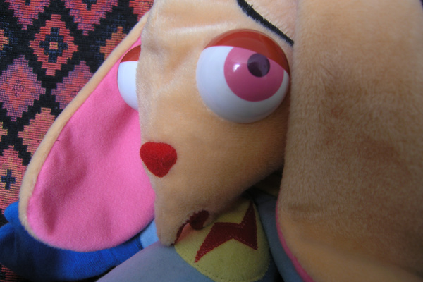 photo 395 (08 February 2004)