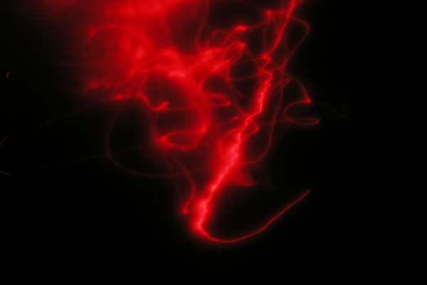 photo 580 (14 February 2004)