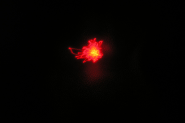 photo 599 (14 February 2004)