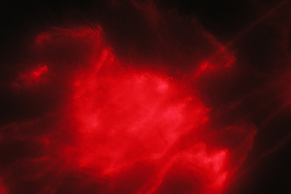 photo 609 (14 February 2004)