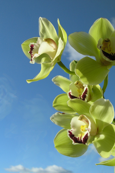 photo 627 (18 February 2004)