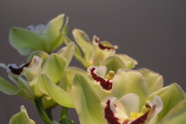 photo 665 (19 February 2004)