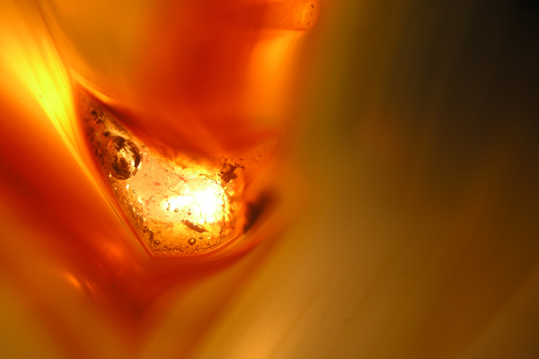 photo 34 (10 January 2004)