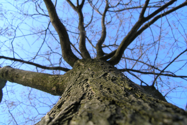 photo 25 (12 January 2004)