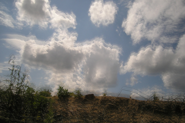 photo 1782 (04 July 2004)