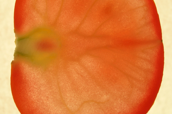 photo 1801 (10 July 2004)