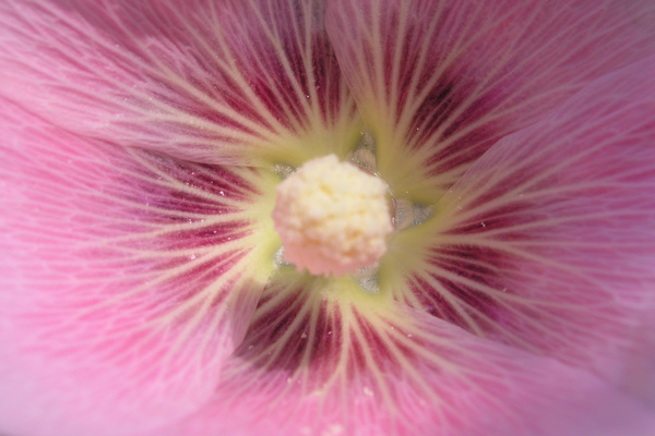 photo 1816 (18 July 2004)