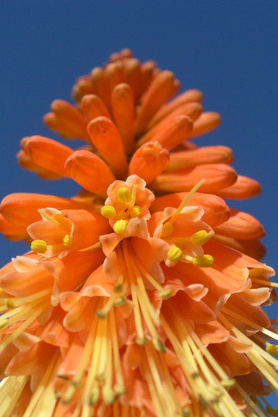 photo 1866 (29 July 2004)