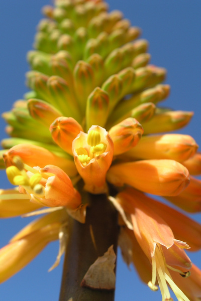 photo 1871 (29 July 2004)