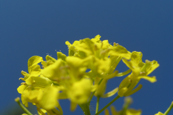 photo 1631 (13 June 2004)