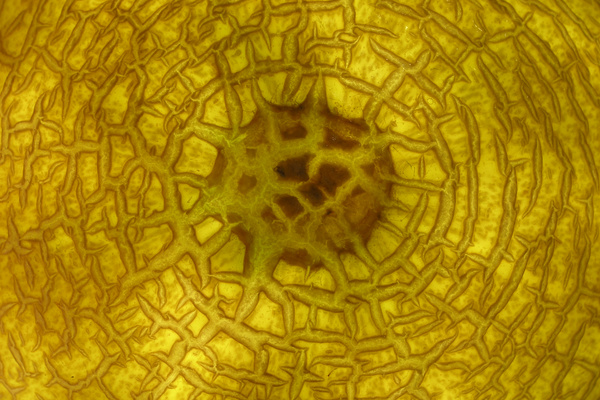 photo 1655 (28 June 2004)