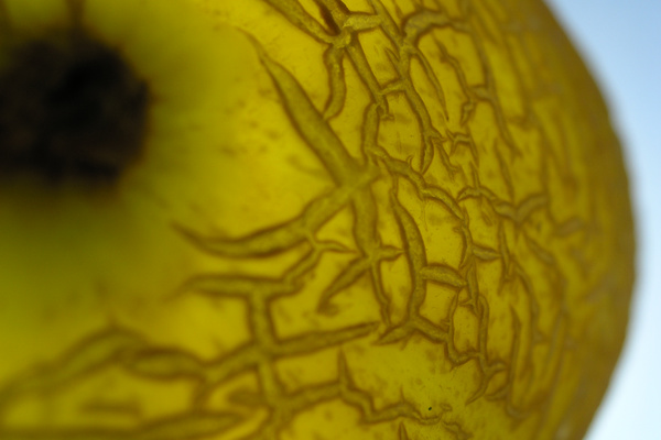 photo 1667 (28 June 2004)