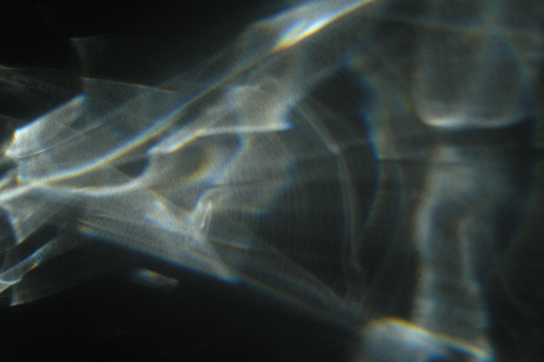 photo 801 (03 March 2004)