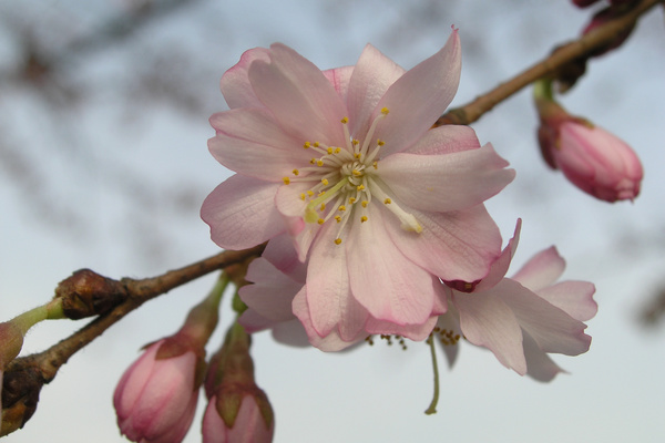 photo 998 (18 March 2004)