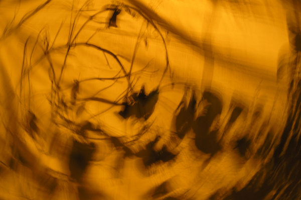 photo 2434 (07 November 2004)