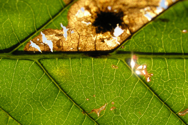 photo 2355 (21 October 2004)