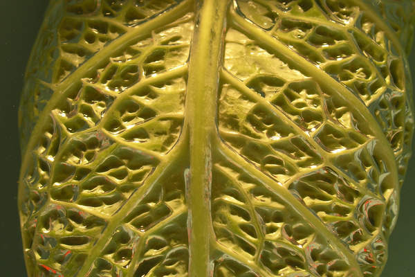 photo 2165 (27 September 2004)